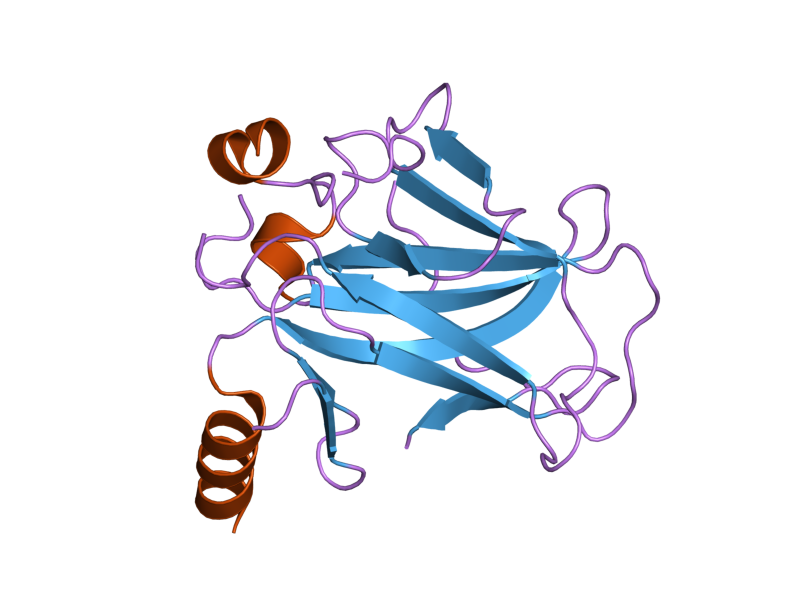 File:PDB 2biq EBI.png