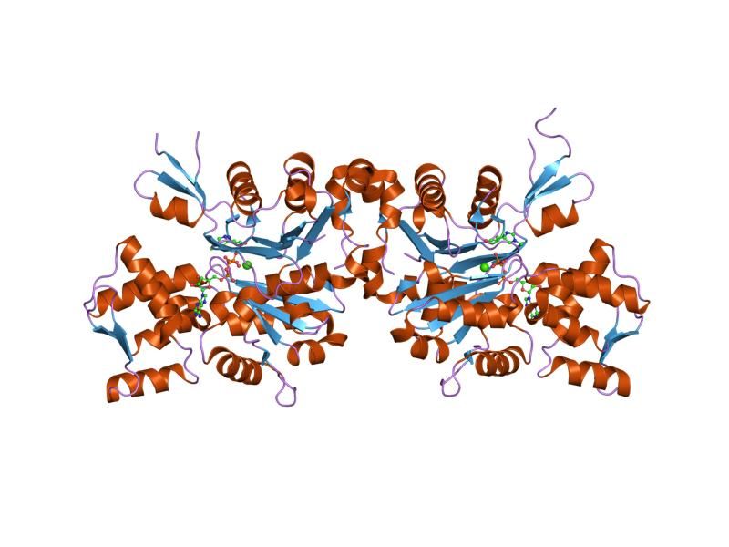 File:PDB 2gwk EBI.jpg