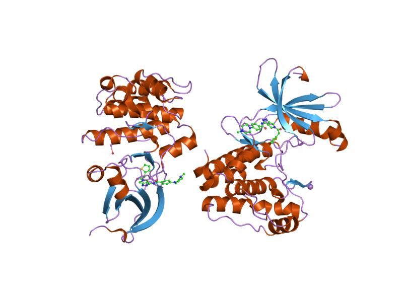 File:PDB 2j4z EBI.jpg