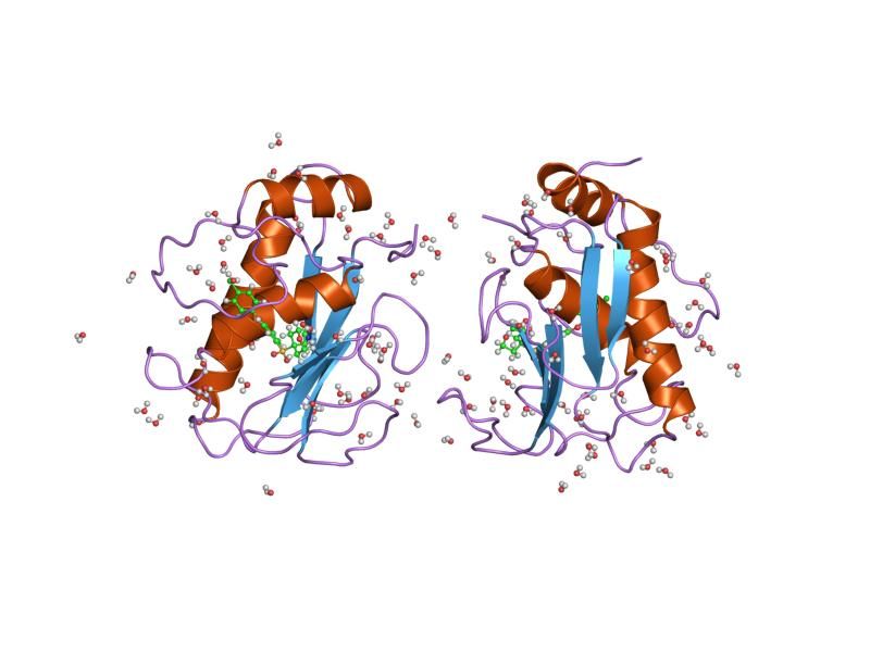 File:PDB 456c EBI.jpg