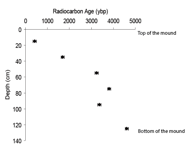 File:Radiocarbon ages down through a Mima Mound.png