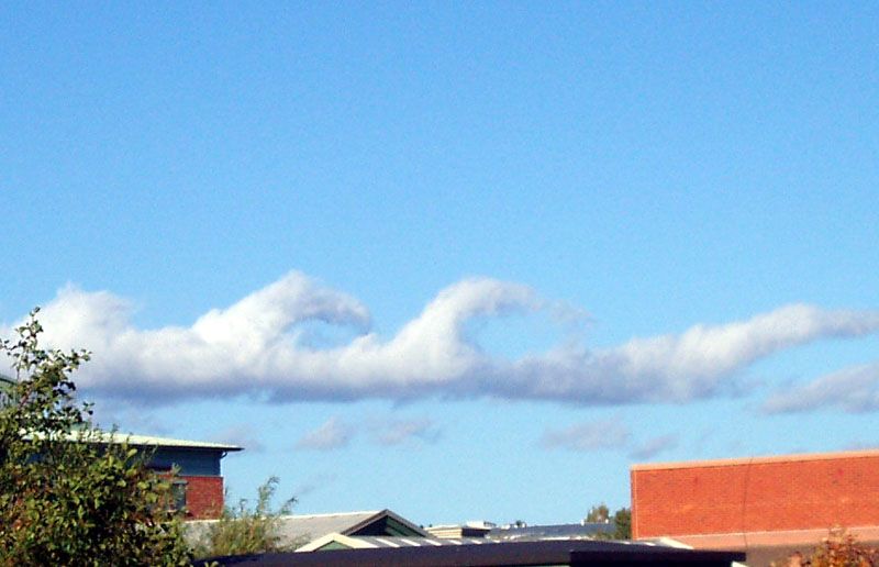 File:Stratocumuluskelvinhelmholtz.jpg