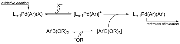 Cationic-palladium transmetalation pathway for the Suzuki-Miyaura reaction