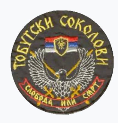 File:Tobutski Sokolovi Patch.jpg