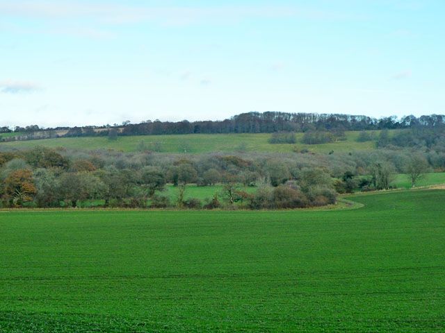 File:View towards Peake Wood (geograph 3769329).jpg