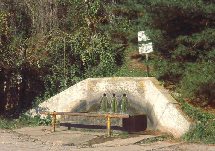 File:Buchtelspring.jpg