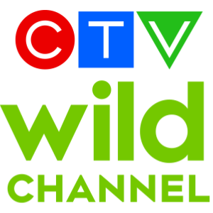 File:CTV Wild Channel Logo.png