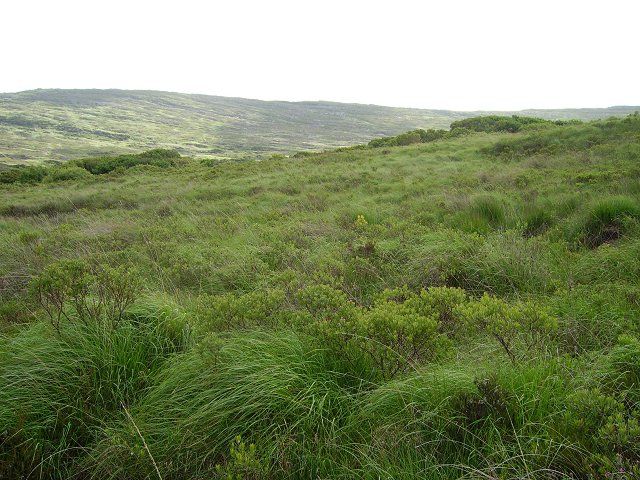 File:Caher-mountain - geograph.org.uk - 271537.jpg