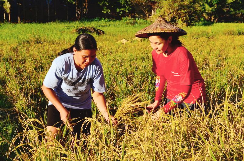 File:Filipina Salakot farmer.jpg