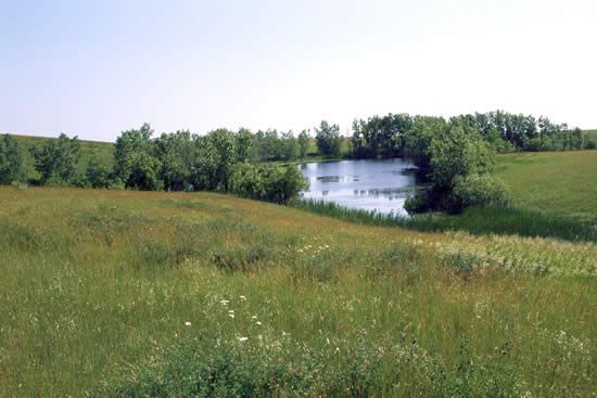 File:Fort Pierre Grassland pond.jpg