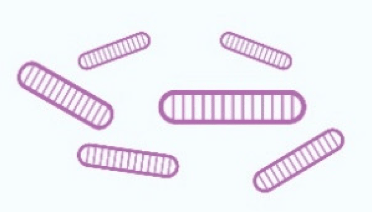 File:Life-12-00103-g002-viroids.png