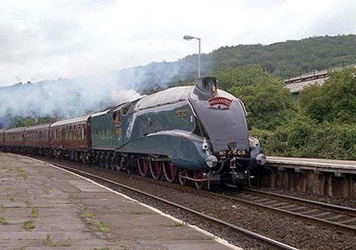 File:Mallard at Keighley 331767.jpg