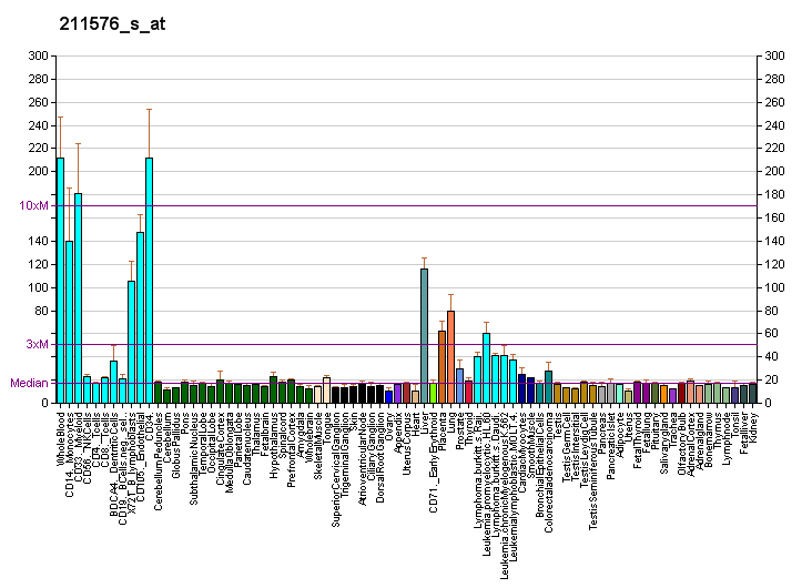 File:PBB GE SLC19A1 211576 s at fs.png