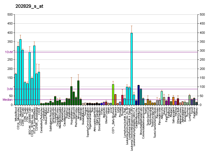 File:PBB GE SYBL1 202829 s at fs.png