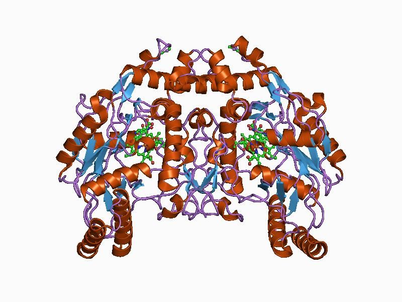 File:PDB 1d0o EBI.jpg