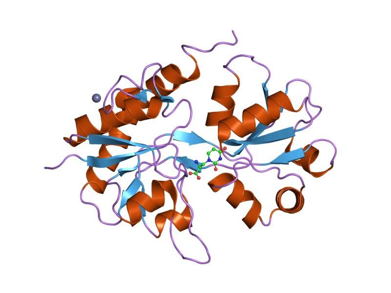 File:PDB 1mqj EBI.jpg