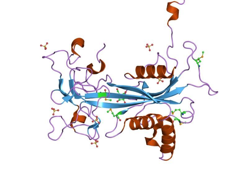 File:PDB 1q33 EBI.jpg