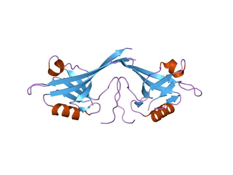 File:PDB 1q3p EBI.jpg