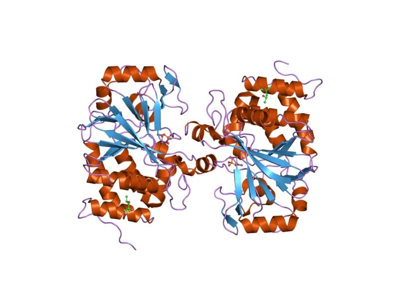 File:PDB 1s95 EBI.jpg