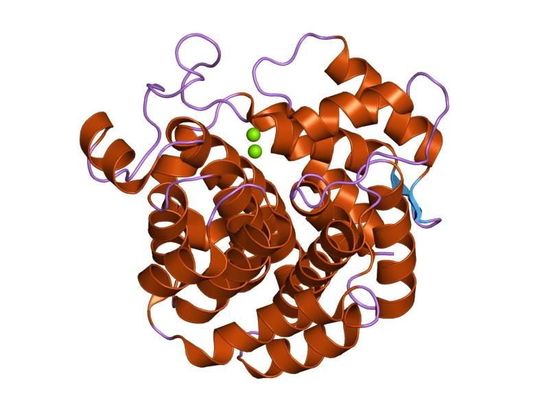 File:PDB 1t5j EBI.jpg