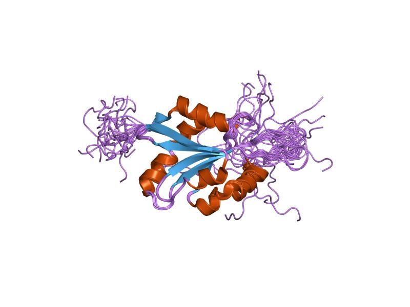 File:PDB 1udm EBI.jpg