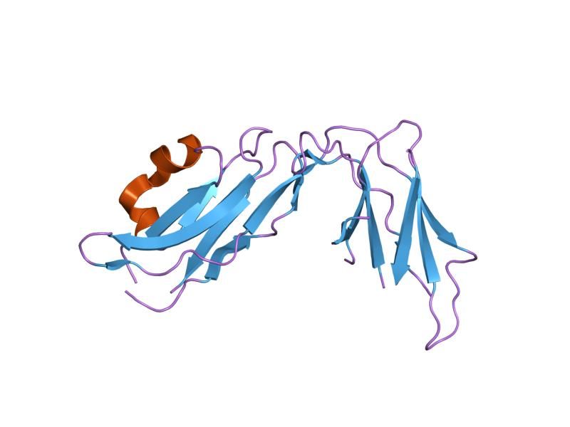 File:PDB 1ufu EBI.jpg