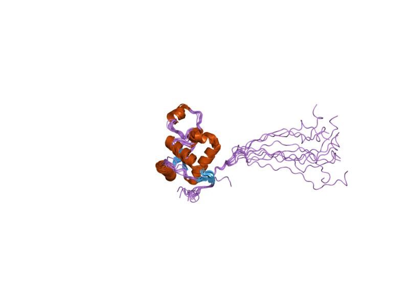 File:PDB 2axl EBI.jpg