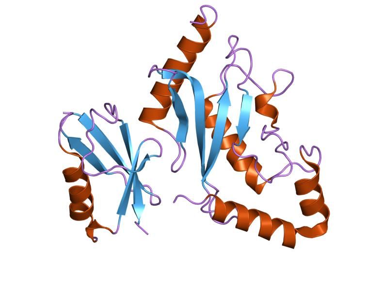 File:PDB 2pe6 EBI.jpg