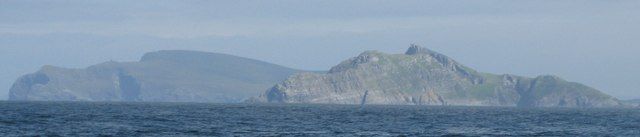 File:Puffin Island - geograph.org.uk - 505985.jpg