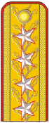 File:RO-Army-OF9.png