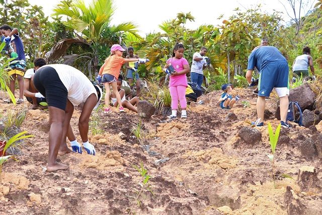 File:Reforestation Praslin 1.jpg