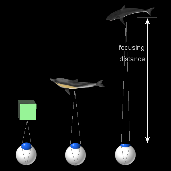 File:Stereogram Tut Eye Focus.png