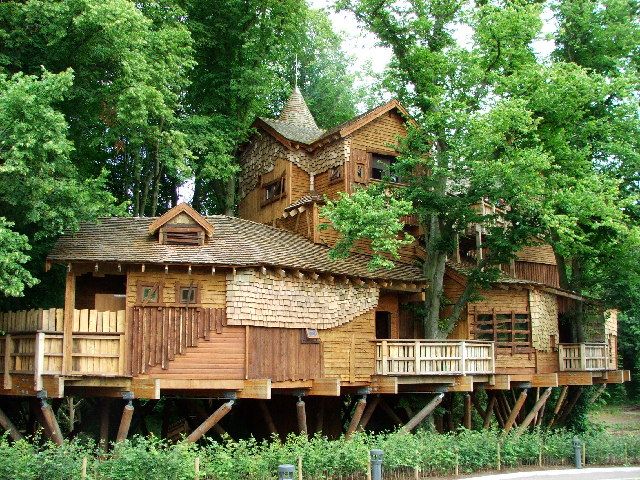 File:The Treehouse - geograph.org.uk - 32426.jpg