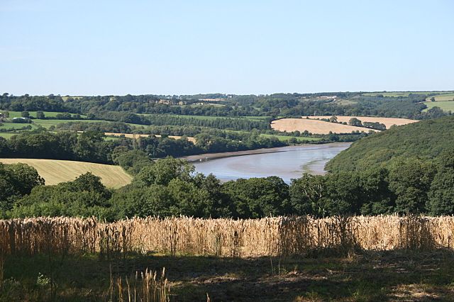 File:Tresillian River - geograph.org.uk - 1451282.jpg