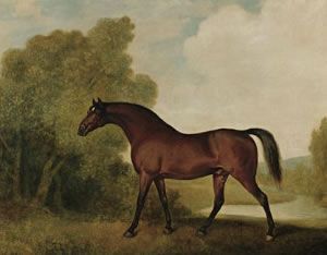 File:Ambrosio (horse).jpg