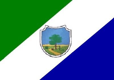 File:Bandeira barauna.jpg