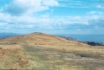 File:Cefn Bryn - geograph.org.uk - 301407.jpg