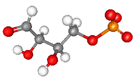 File:Erythrose 4-phosphate.png