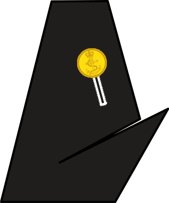 File:Lapel of Cadet RNR.png