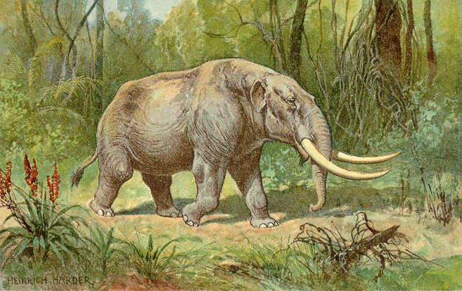 File:Mastodon color.jpg