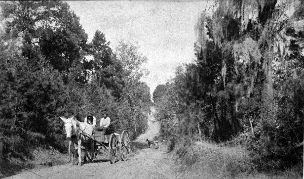 File:Meridian Road, Leon County, Florida 002.jpg