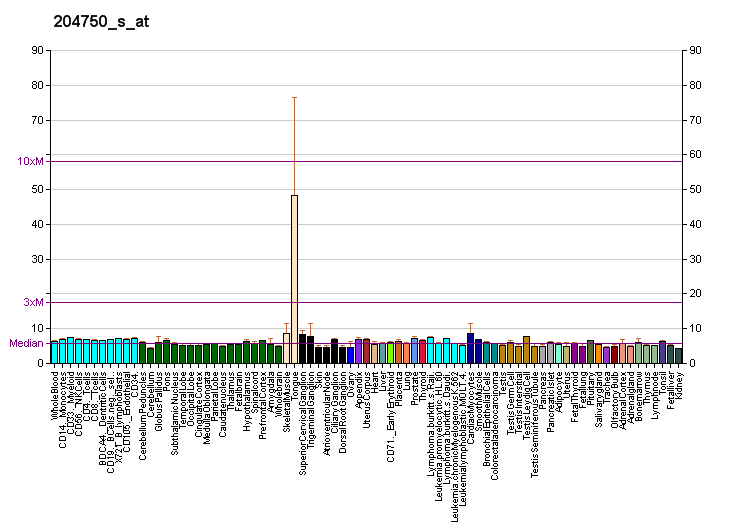 File:PBB GE DSC2 204750 s at fs.png