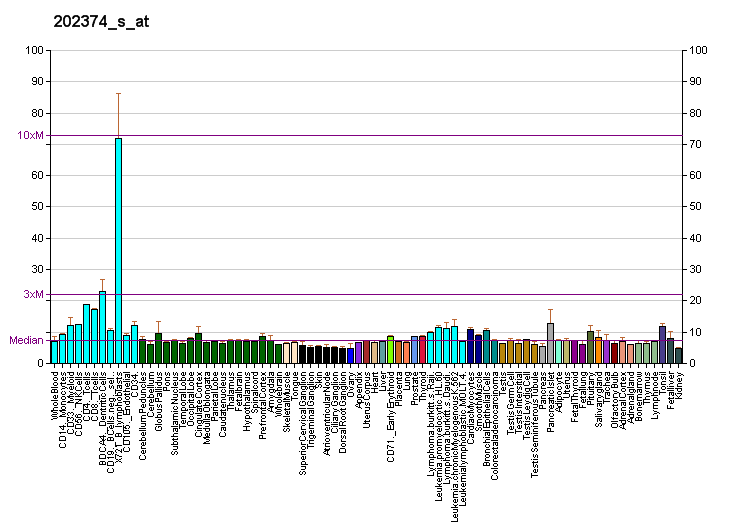 File:PBB GE RAB3GAP2 202374 s at fs.png