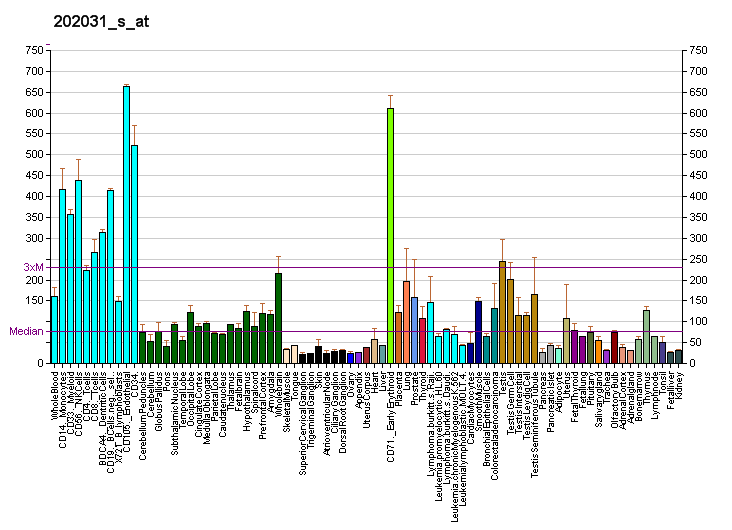 File:PBB GE WIPI2 202031 s at fs.png