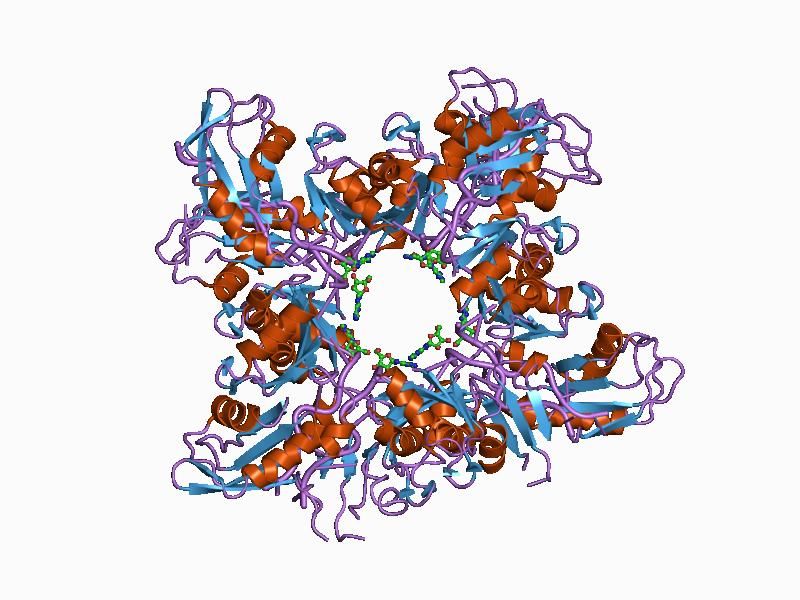 File:PDB 1cvj EBI.jpg