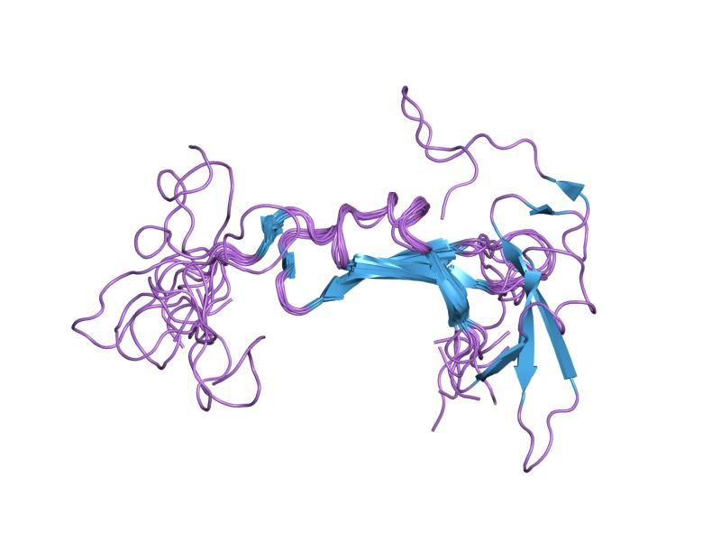 File:PDB 1hrf EBI.jpg