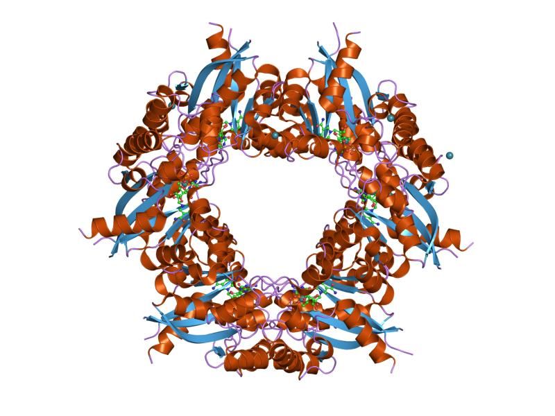 File:PDB 1kqn EBI.jpg