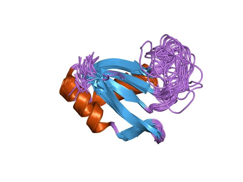 File:PDB 1no8 EBI.jpg