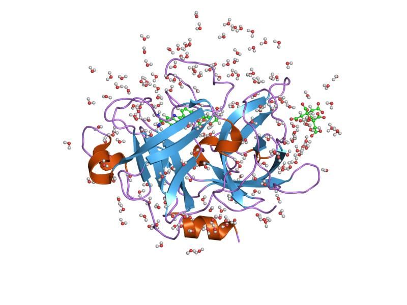 File:PDB 1o5c EBI.jpg