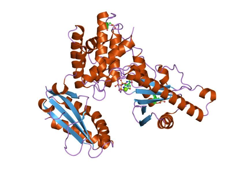 File:PDB 1q78 EBI.jpg